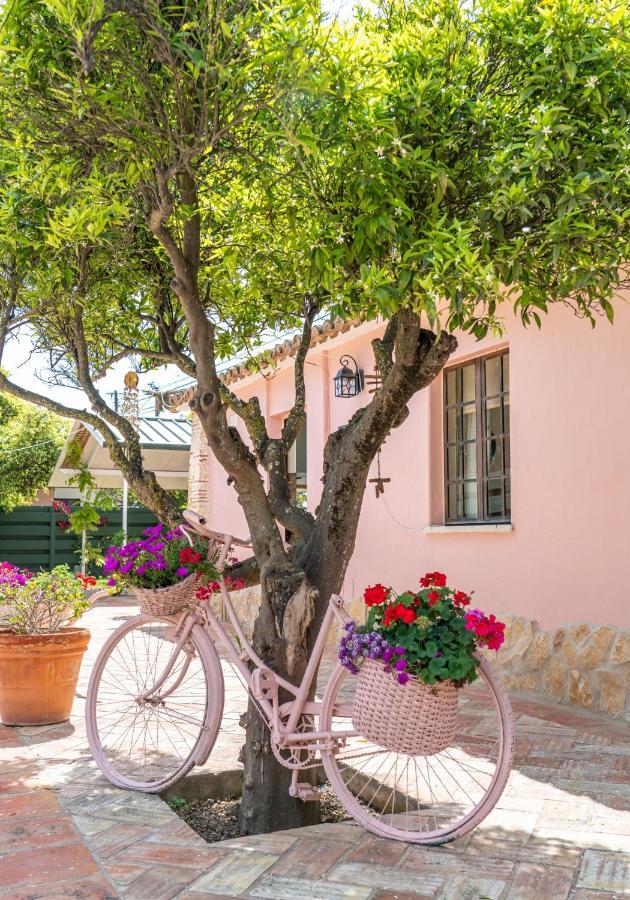 Quinta Aida Cottage And B&B Suites Lagoa  Exteriér fotografie